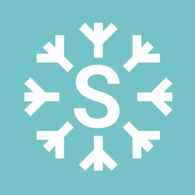 Animated Logo Design